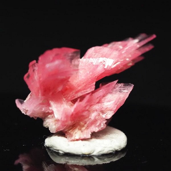 ���[�h�i�C�g�������� �΂�P�� 20x14.5x14(mm) (258)