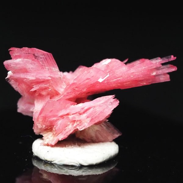 ���[�h�i�C�g�������� �΂�P�� 20x14.5x14(mm) (258)