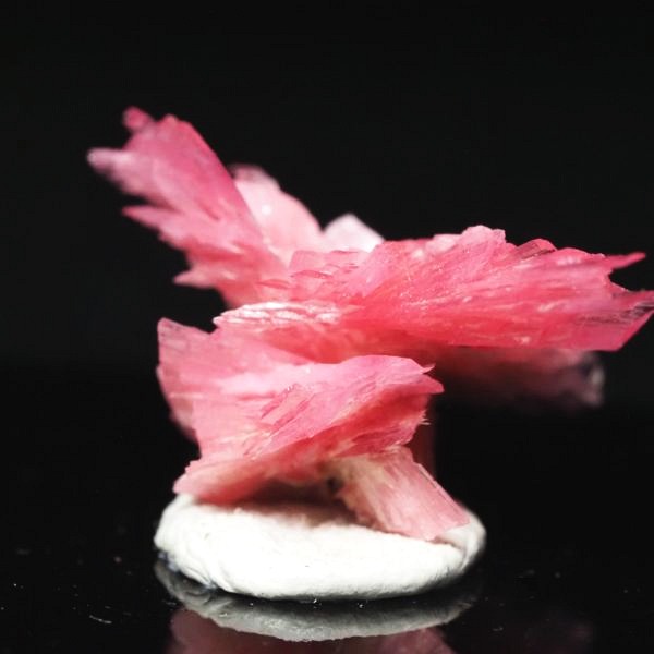 ���[�h�i�C�g�������� �΂�P�� 20x14.5x14(mm) (258)