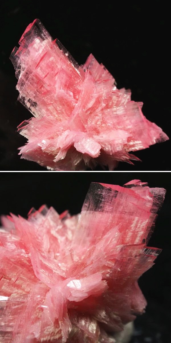 ���[�h�i�C�g�������� �΂�P�� 20x14.5x14(mm) (258)