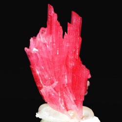 ���[�h�i�C�g��������<br> �΂�P��<br> 9.5x12x19(mm) (260)