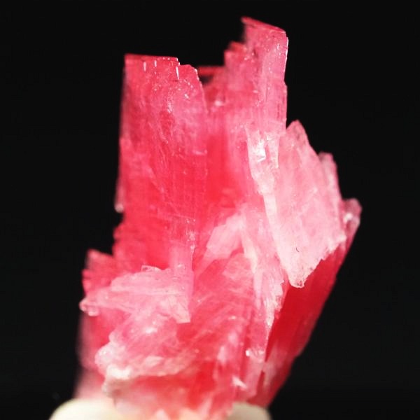 ���[�h�i�C�g�������� �΂�P�� 9.5x12x19(mm) (260)