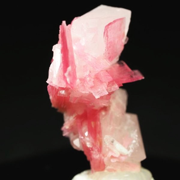 ���[�h�i�C�g�������� �΂�P�� 17x14x20(mm) (262)