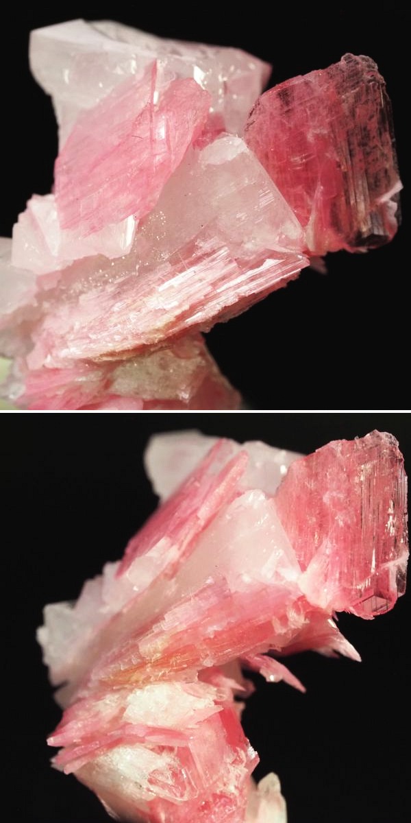 ���[�h�i�C�g�������� �΂�P�� 17x14x20(mm) (262)