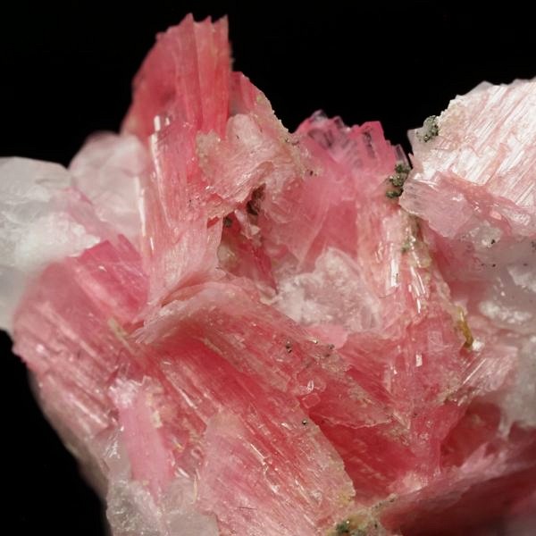 ���[�h�i�C�g�������� �΂�P�� 24x14x24(mm) (264)