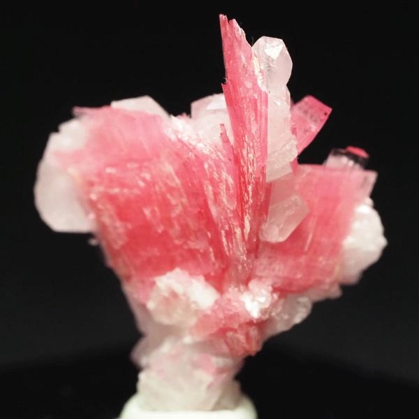 ���[�h�i�C�g�������� �΂�P�� 18x14x25(mm) (265)