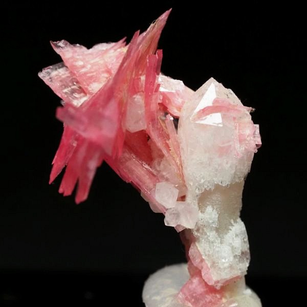 ���[�h�i�C�g�������� �΂�P�� 16x16x22(mm) (266)