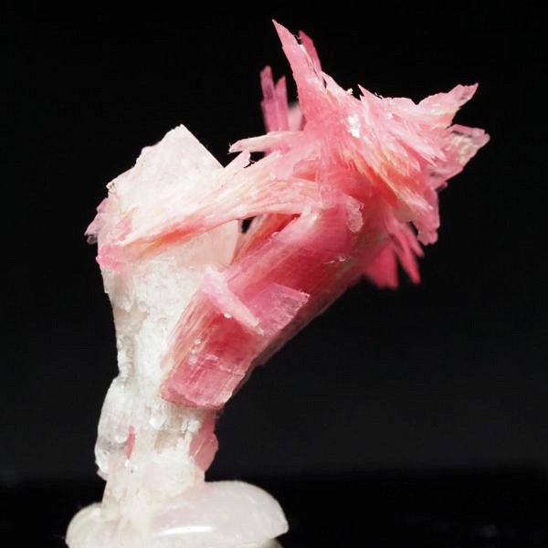 ���[�h�i�C�g�������� �΂�P�� 16x16x22(mm) (266)