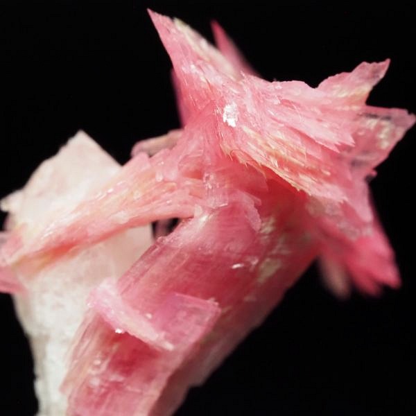 ���[�h�i�C�g�������� �΂�P�� 16x16x22(mm) (266)