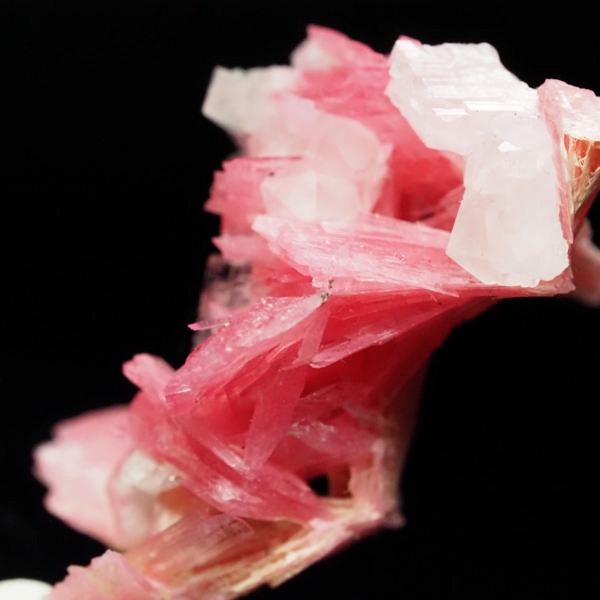 ���[�h�i�C�g�������� �΂�P�� 18x13x24.5(mm) (267)