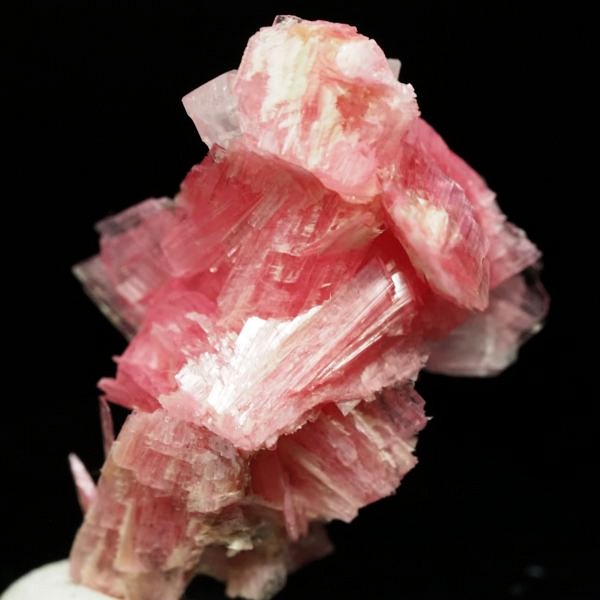 ���[�h�i�C�g�������� �΂�P�� 18x13x24.5(mm) (267)