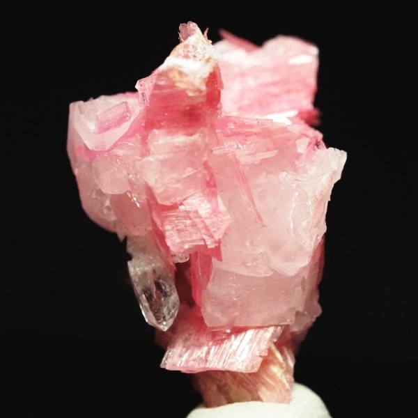 ���[�h�i�C�g�������� �΂�P�� 20x13x20.5(mm) (268)