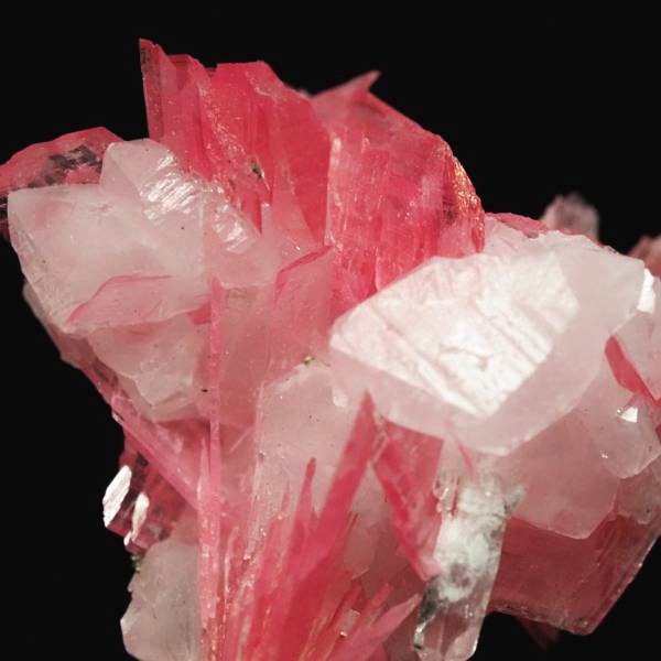 ���[�h�i�C�g�������� �΂�P�� 20x13x20.5(mm) (268)