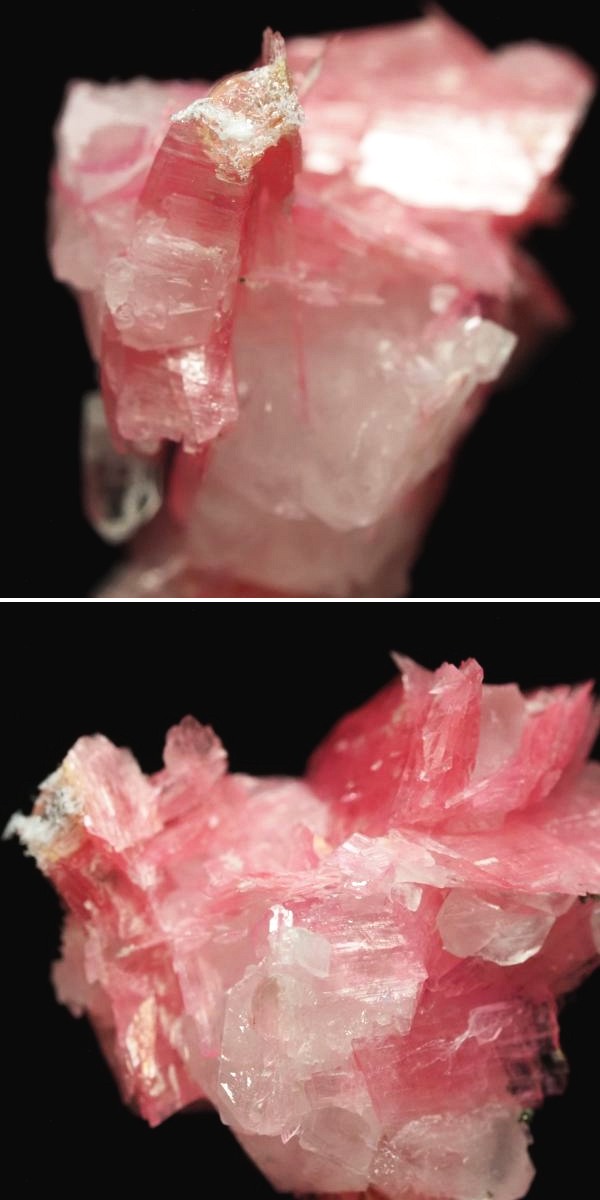 ���[�h�i�C�g�������� �΂�P�� 20x13x20.5(mm) (268)