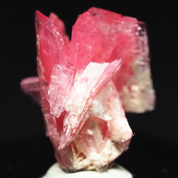 ���[�h�i�C�g�������� �΂�P�� 16x14x18.5(mm) (269)