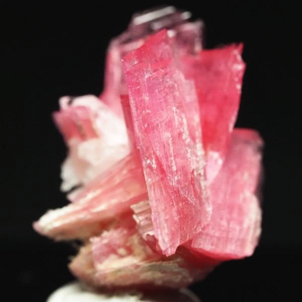 ���[�h�i�C�g�������� �΂�P�� 16x14x18.5(mm) (269)