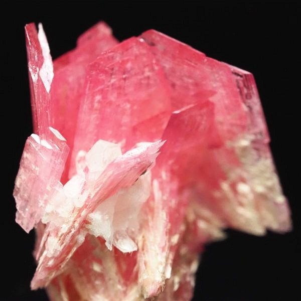 ���[�h�i�C�g�������� �΂�P�� 16x14x18.5(mm) (269)