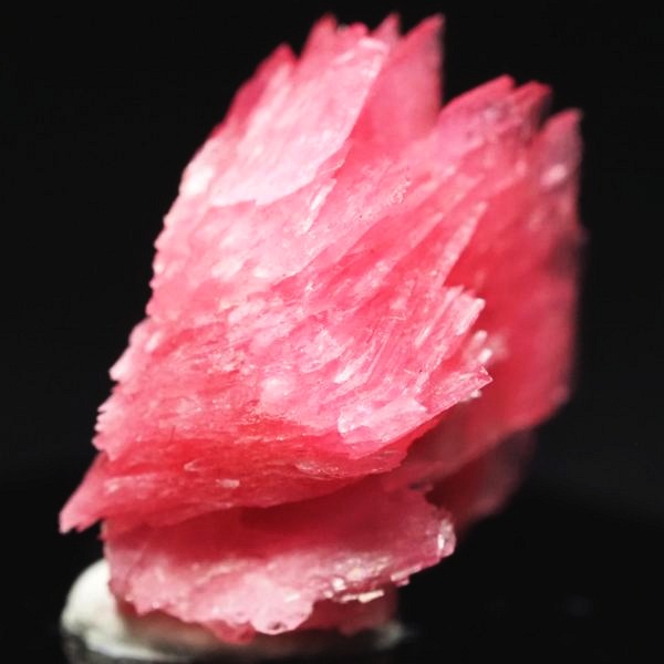 ���[�h�i�C�g�������� �΂�P�� 15x11x17(mm) (270)