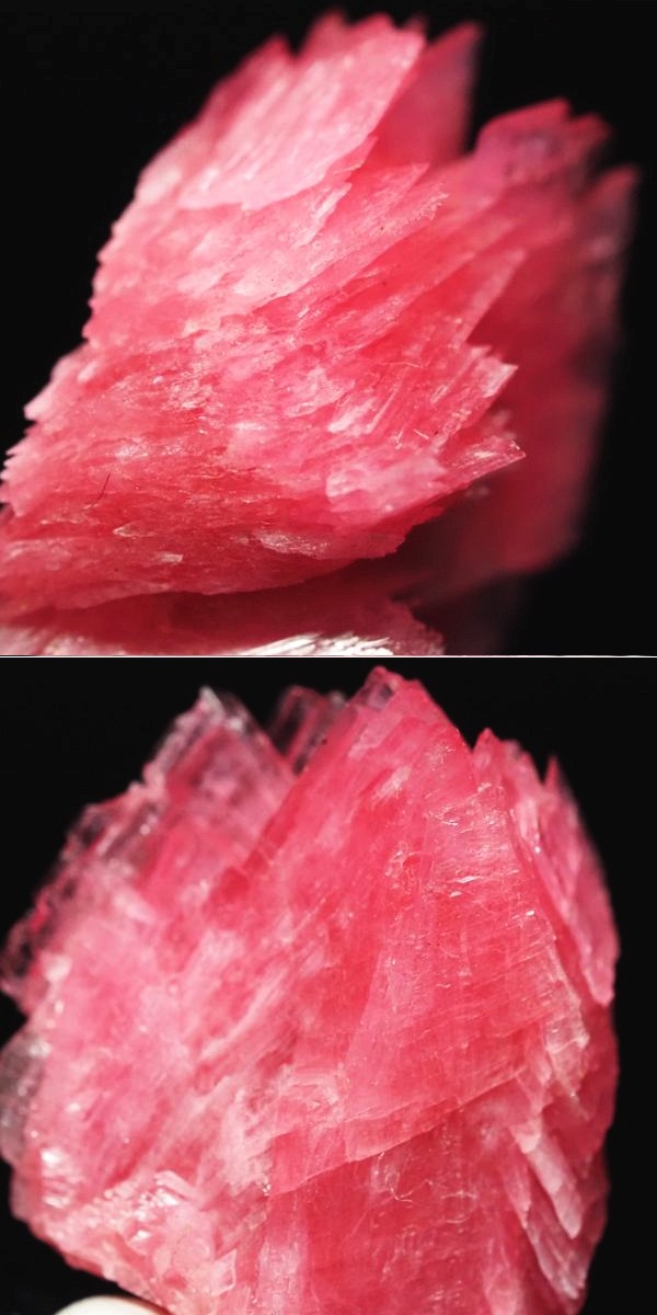 ���[�h�i�C�g�������� �΂�P�� 15x11x17(mm) (270)