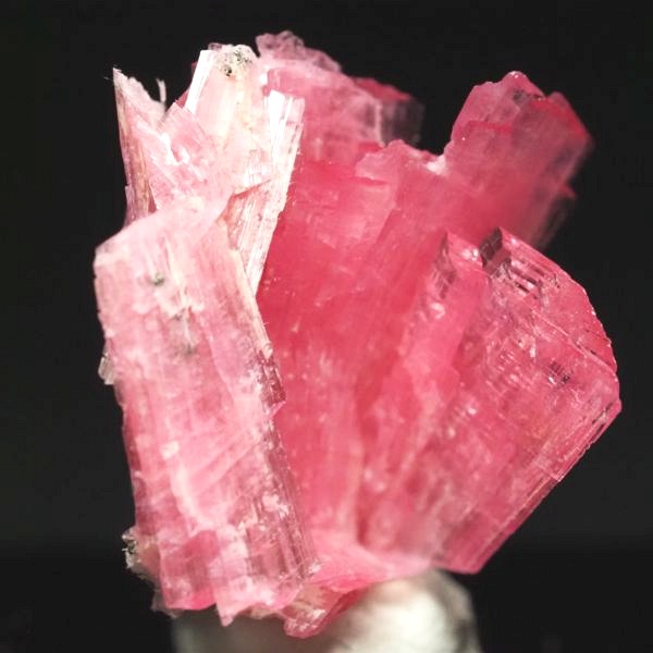 ���[�h�i�C�g�������� �΂�P�� 18x19x19(mm) (271)