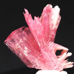 ���[�h�i�C�g��������<br> �΂�P��<br> 18x19x19(mm) (271)