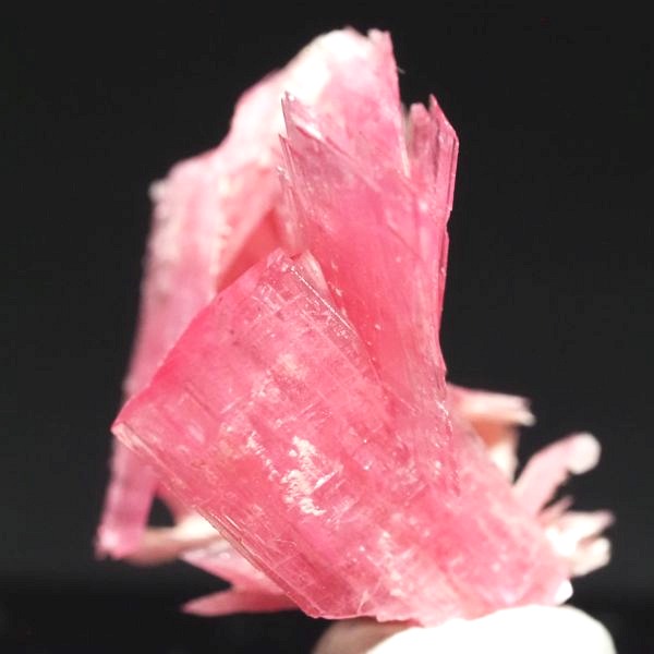 ���[�h�i�C�g�������� �΂�P�� 18x19x19(mm) (271)