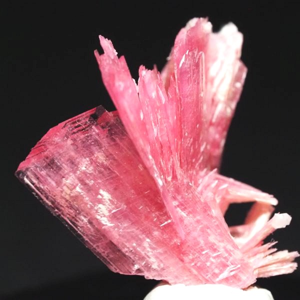 ���[�h�i�C�g�������� �΂�P�� 18x19x19(mm) (271)