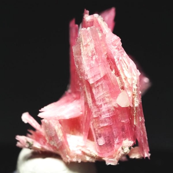 ���[�h�i�C�g�������� �΂�P�� 18x19x19(mm) (271)