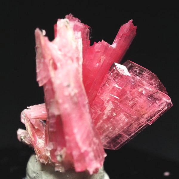 ���[�h�i�C�g�������� �΂�P�� 18x19x19(mm) (271)