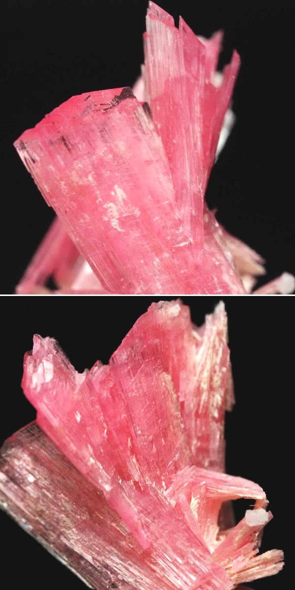 ���[�h�i�C�g�������� �΂�P�� 18x19x19(mm) (271)