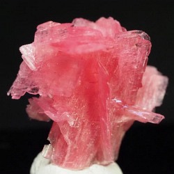 ���[�h�i�C�g��������<br> �΂�P��<br> 19.5x17.5x21(mm) (273)