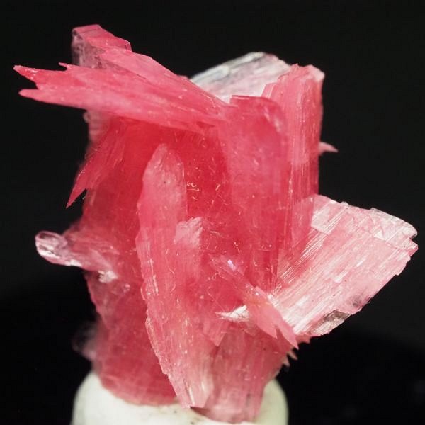 ���[�h�i�C�g�������� �΂�P�� 19.5x17.5x21(mm) (273)