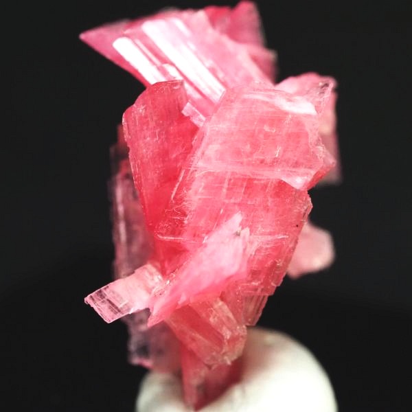 ���[�h�i�C�g�������� �΂�P�� 19.5x17.5x21(mm) (273)