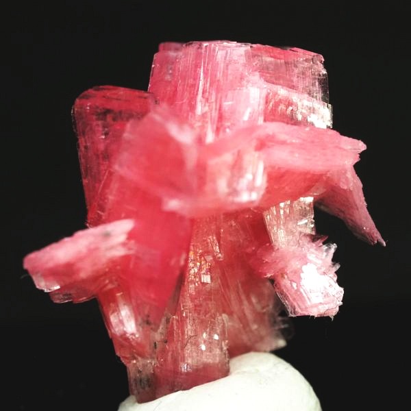 ���[�h�i�C�g�������� �΂�P�� 19.5x17.5x21(mm) (273)