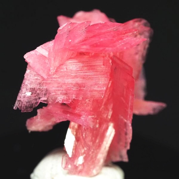 ���[�h�i�C�g�������� �΂�P�� 19.5x17.5x21(mm) (273)