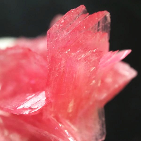 ���[�h�i�C�g�������� �΂�P�� 19.5x17.5x21(mm) (273)