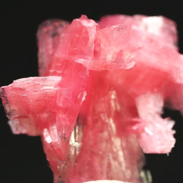 ���[�h�i�C�g�������� �΂�P�� 19.5x17.5x21(mm) (273)