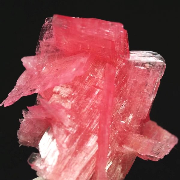 ���[�h�i�C�g�������� �΂�P�� 19.5x17.5x21(mm) (273)