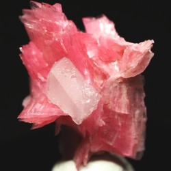 ���[�h�i�C�g��������<br> �΂�P��<br> 17x15x21(mm) (274)