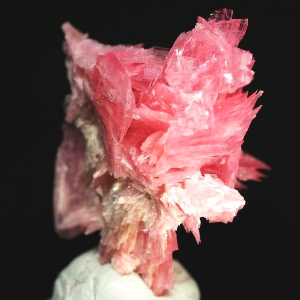 ���[�h�i�C�g�������� �΂�P�� 17x15x21(mm) (274)