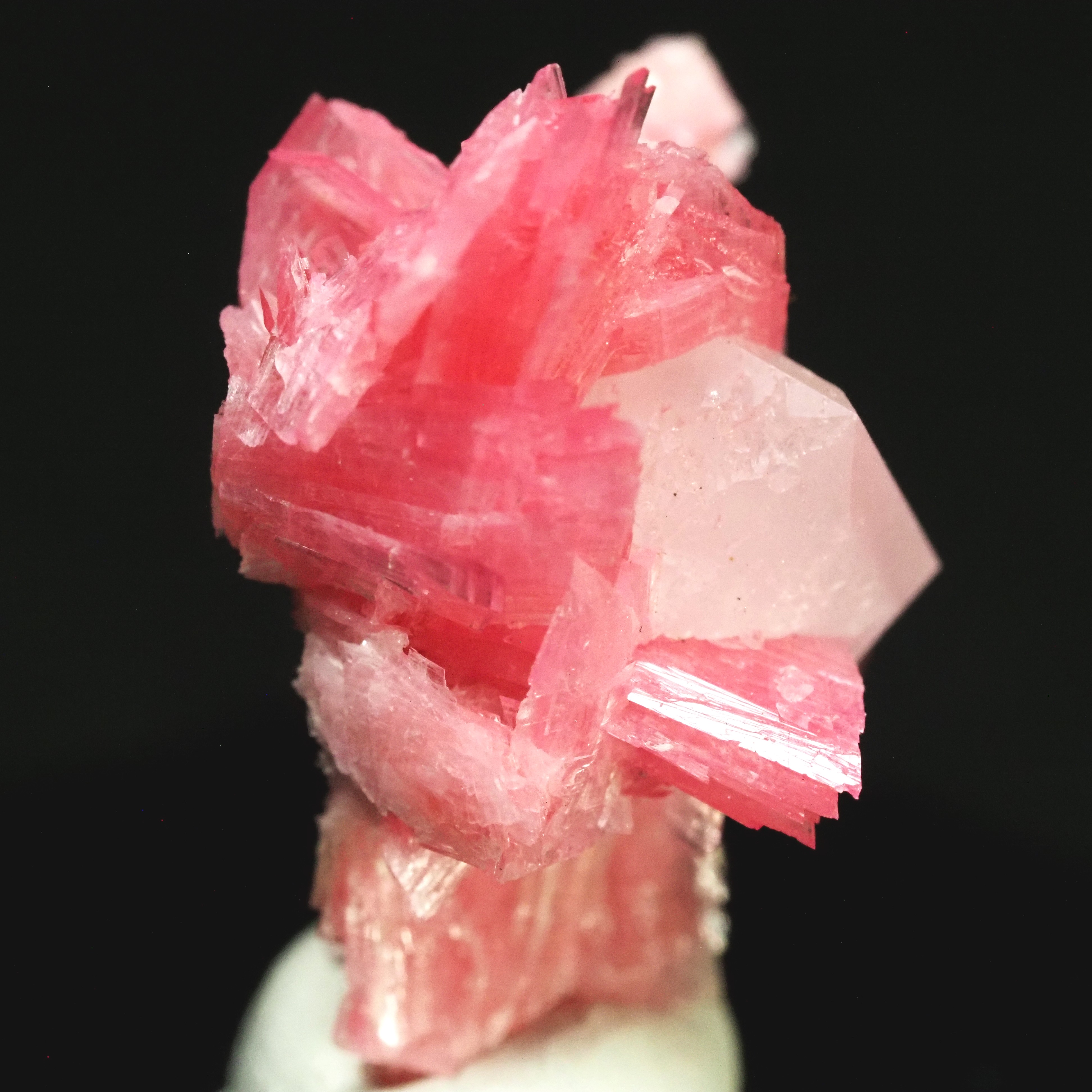 ���[�h�i�C�g�������� �΂�P�� 17x15x21(mm) (274)