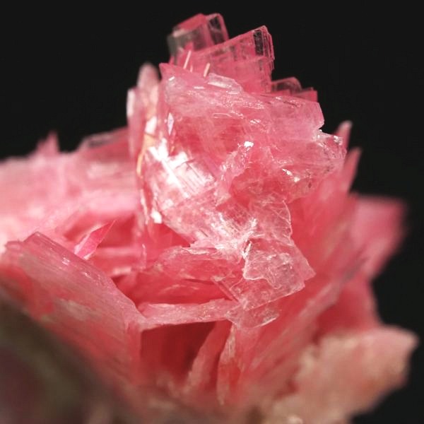 ���[�h�i�C�g�������� �΂�P�� 17x15x21(mm) (274)