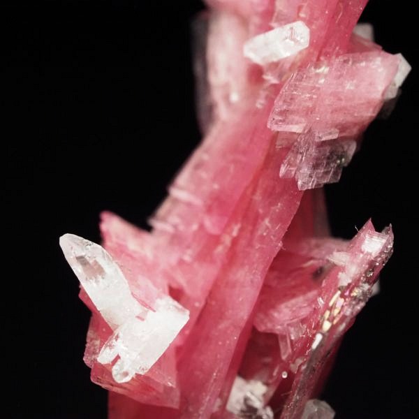 ���[�h�i�C�g�������� �΂�P�� 17x14.5x33(mm) (275)