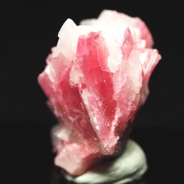 ���[�h�i�C�g�������� �΂�P�� 24x16x23(mm) (276)