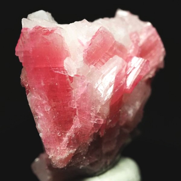 ���[�h�i�C�g�������� �΂�P�� 24x16x23(mm) (276)