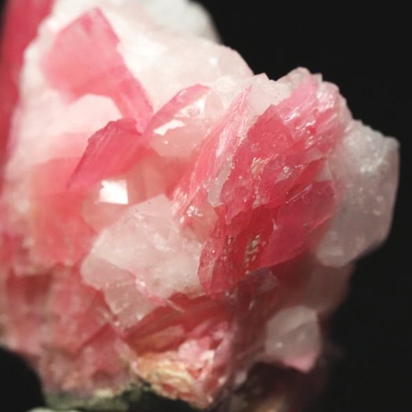 ���[�h�i�C�g�������� �΂�P�� 24x16x23(mm) (276)