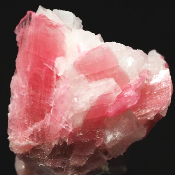 ���[�h�i�C�g�������� �΂�P�� 24x16x23(mm) (276)