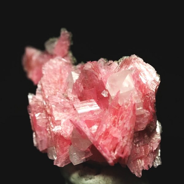 ���[�h�i�C�g�������� �΂�P�� 24x14x20(mm) (278)