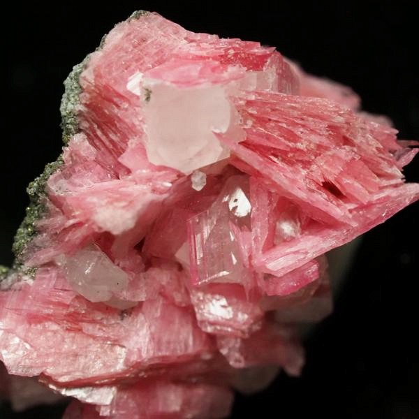 ���[�h�i�C�g�������� �΂�P�� 24x14x20(mm) (278)