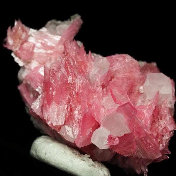 ���[�h�i�C�g�������� �΂�P�� 24x14x20(mm) (278)